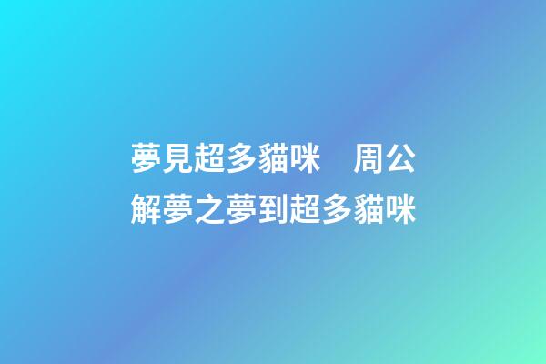 夢見超多貓咪　周公解夢之夢到超多貓咪